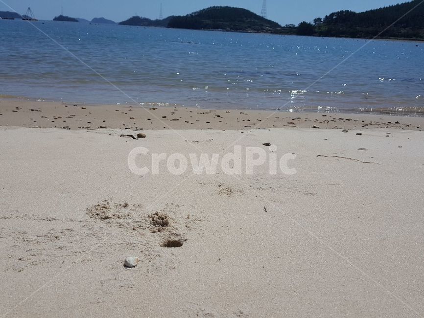 모래,바다,게구멍,섬,자연,바닥,sea,해변,바다,beach,sea