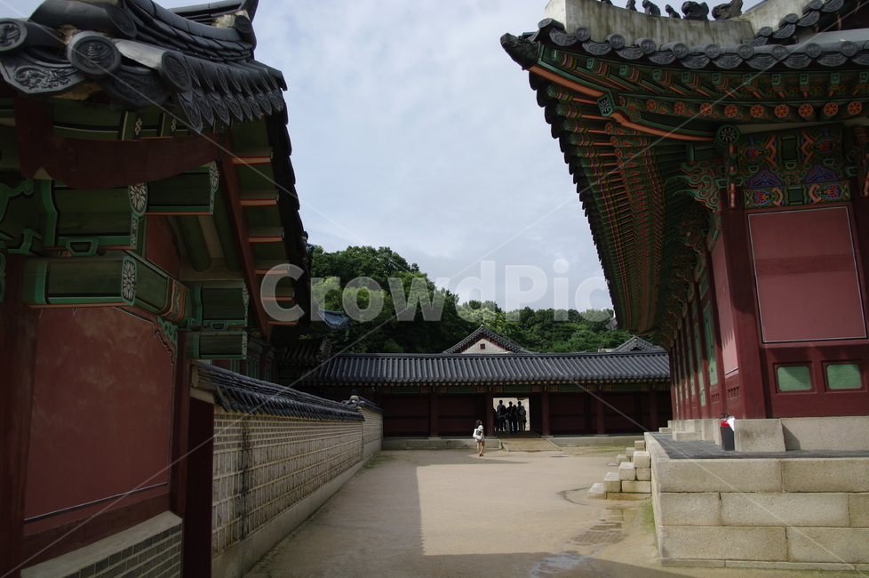 창덕궁,고궁,한옥,전통가옥,기와지붕,건축,traditional,한국전통,한국문화,korean traditional,korean culture,랜드마크,landmark,tourist attraction,한국랜드마크,한국관광지,한국명소,korea landmark,korea tourist attraction,사람들,대중,군중,other people,crowd,건축물,건물외관,exterior,building,structure,architecture,construction
