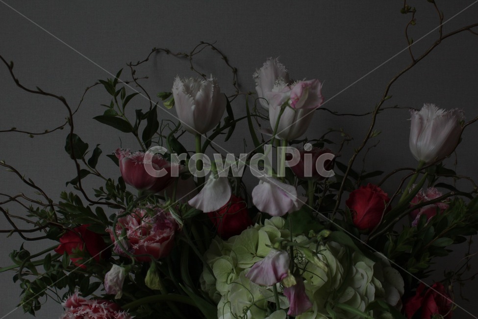꽃,flower,blossom,장미,수국,나뭇가지,풀,식물,꽃다발,실내,꽃꽃이