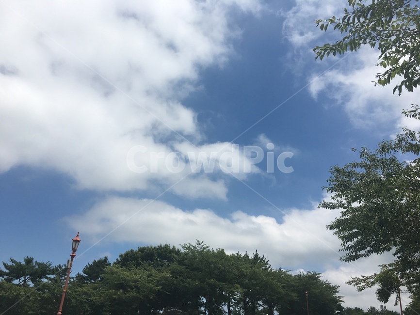 하늘,sky,전선,구름,파란,감성,새파란,cloud,blue