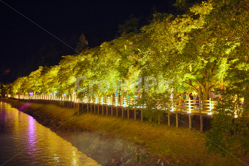 월영교,밤,빛나는,안동야경,월영교야경,안동월영교,경북야경,야경,밤,풍경,nightscape,night,landscape