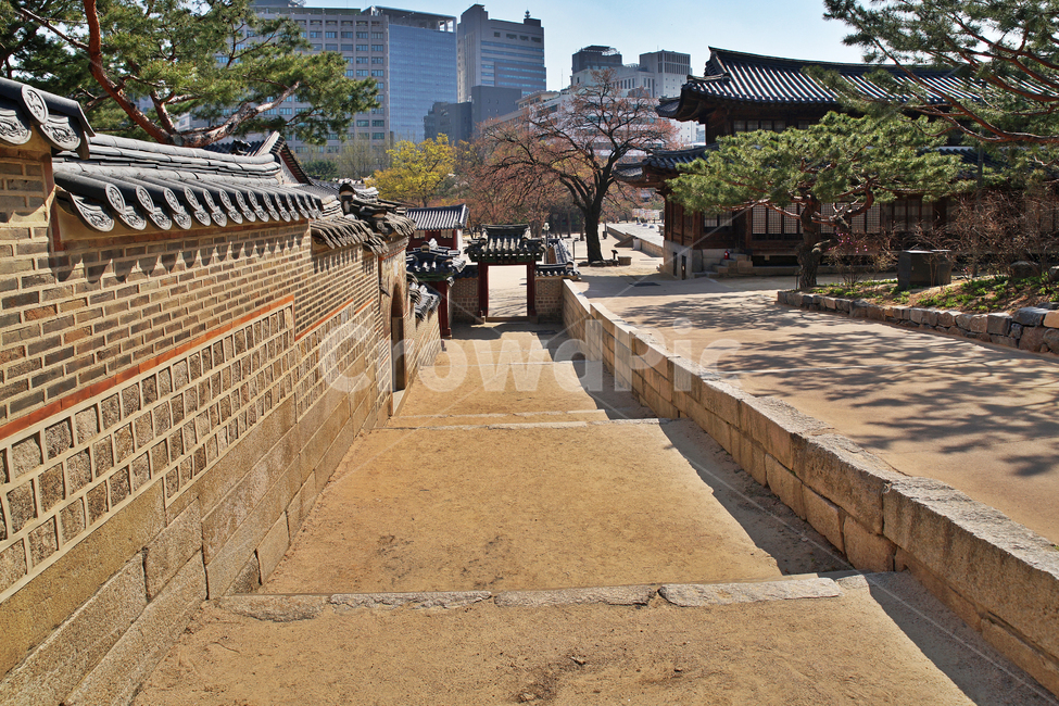덕수궁,석류문,돌담,담장,궁궐,대한제국,고종