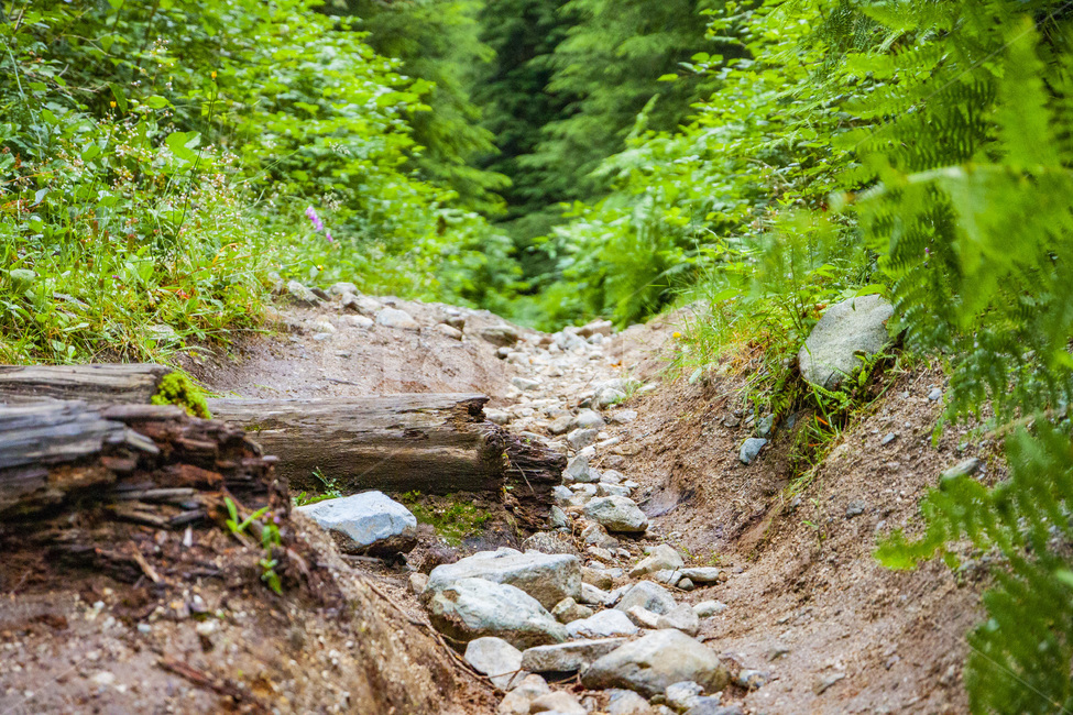 돌길,도전,시련,역경,산길,등산,여름,고난,극복,용기,자연,풍경,nature,landscape,한국자연풍경,한국자연경관,korea nature landscape,dirt road,흙길,gravel,자갈,road,도로,ground,바닥