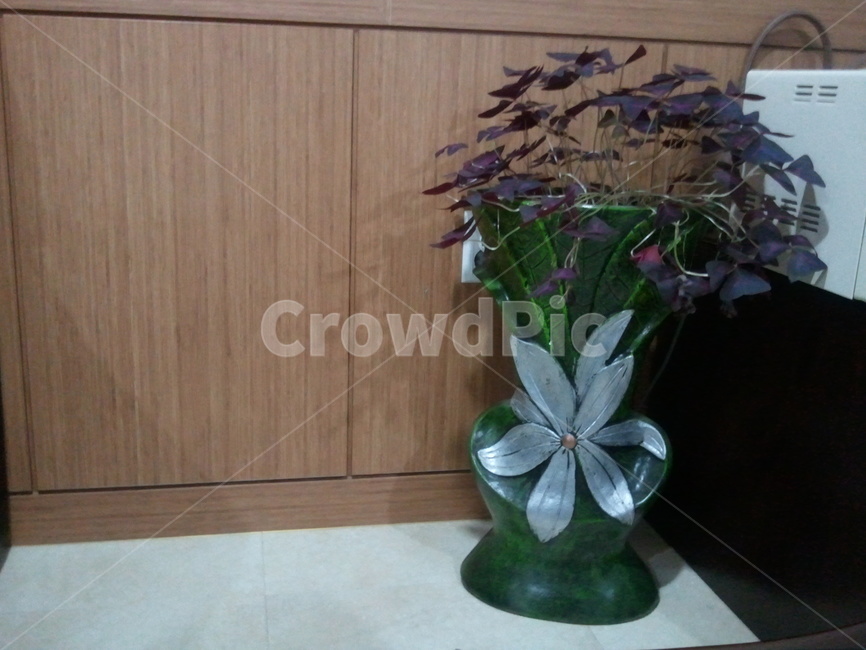 사랑초,식물,화분,plant,실내,거실