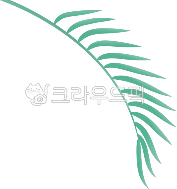 팜트리,야자수잎,야자나무잎,여름,트로피컬,자연,계절,야자나무,트로피칼,열대식물,열대나무잎,식물,잎사귀,나뭇잎,그린,초록,일러스트,leaf,palm,palmtree,tropical,green,png,illustration,summer