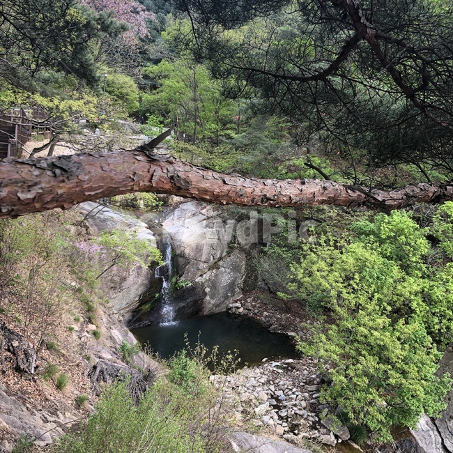 산,감악산,계곡,골짜기,나무,숲