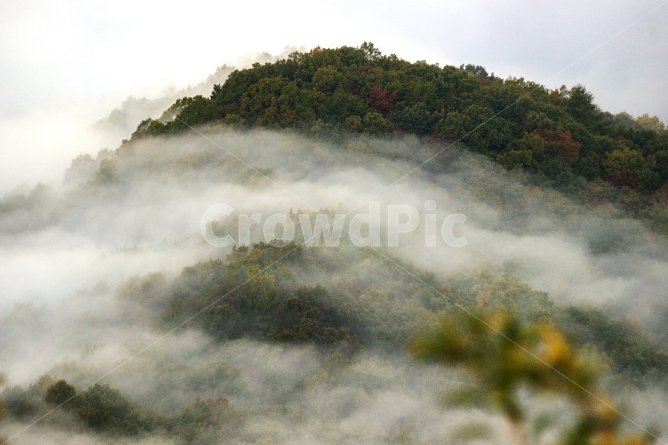 운해,산,안개,숲,산림,자연,풍경,nature,landscape,weather,날씨,outdoors,옥외,mist,fog