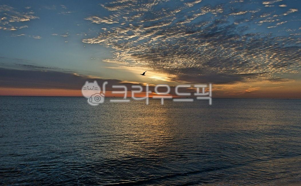 하늘,동해일출,바다일출,동해바다,일출,새해일출