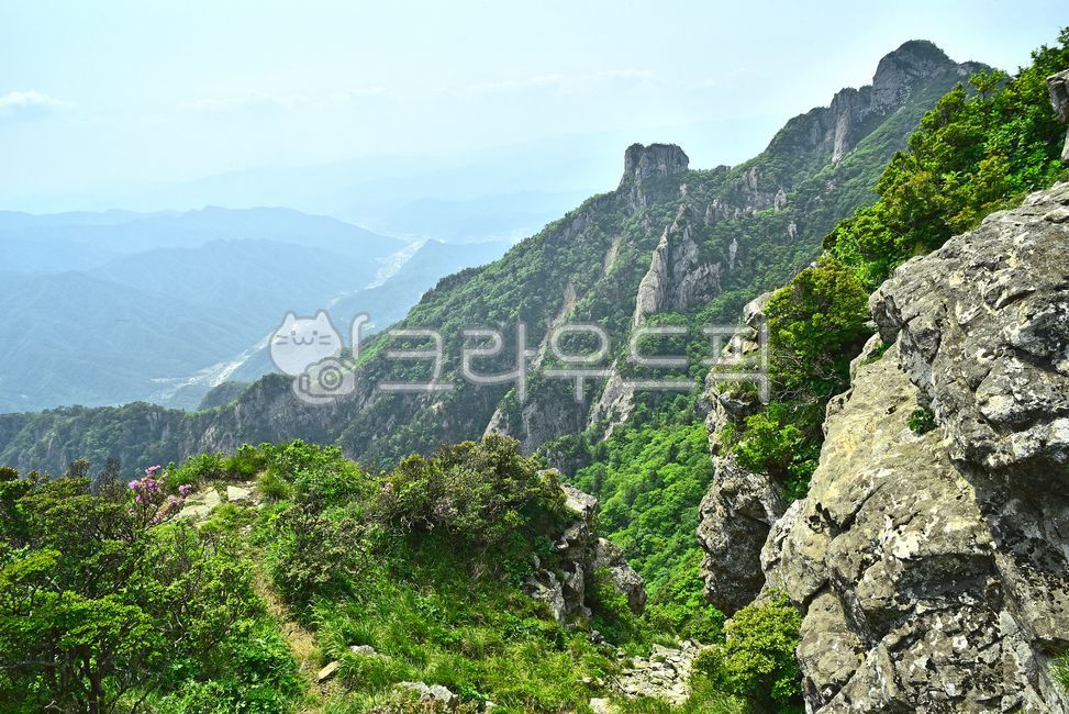 설악산,한국자연경관,산,국립공원,털진달래,벼랑,능선,마운틴,자연,산등성이,봉우리,높은산,산맥,mountain,tree,nature,environment,환경,배경,바탕,백그라운드,야외,옥외,아웃도어,힐링,고산준봉,신록,녹음,계절,암봉,낭떠러지,절벽,시즌,첩첩산중,서북능선,외설악,야생화,고산식물
