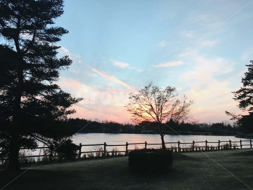 공원,나무,노을,하늘,호수,자연,풍경,nature,landscape,tree,plant,식물
