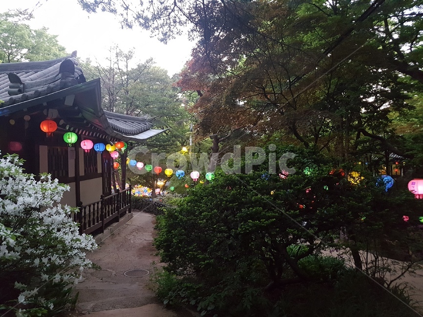연등,길상사,초파일,절,석가탄신일,부처님