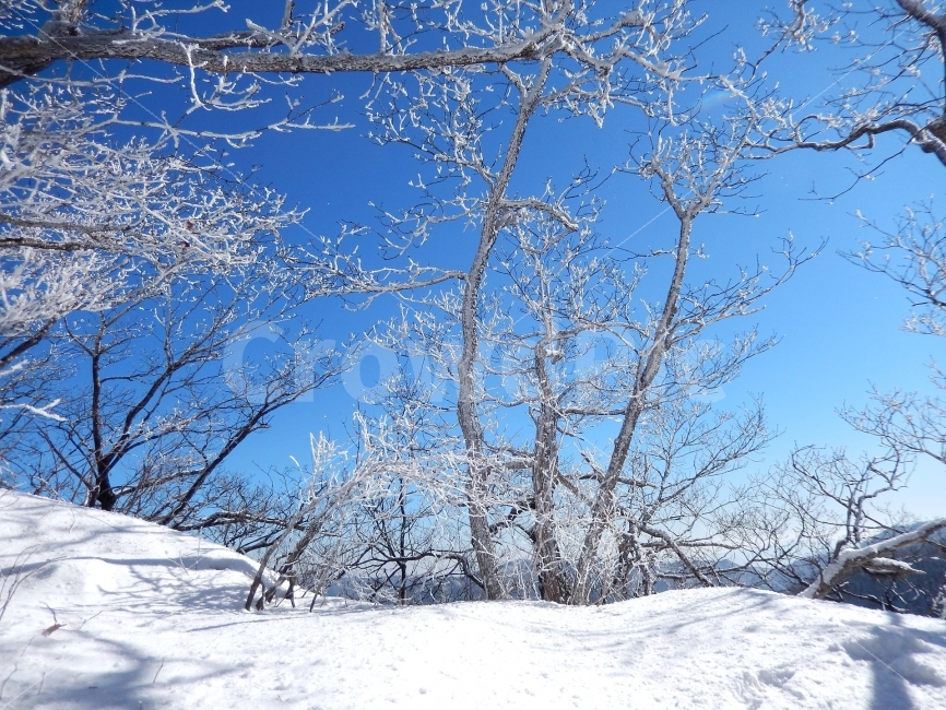민주지산,눈꽃풍경,상고대,겨울풍경,겨울동화,눈풍경,파란하늘,100대명산,겨울명산,설경,서리꽃,영동,자연,풍경,nature,landscape,겨울,계절,winter,season,outdoors,옥외