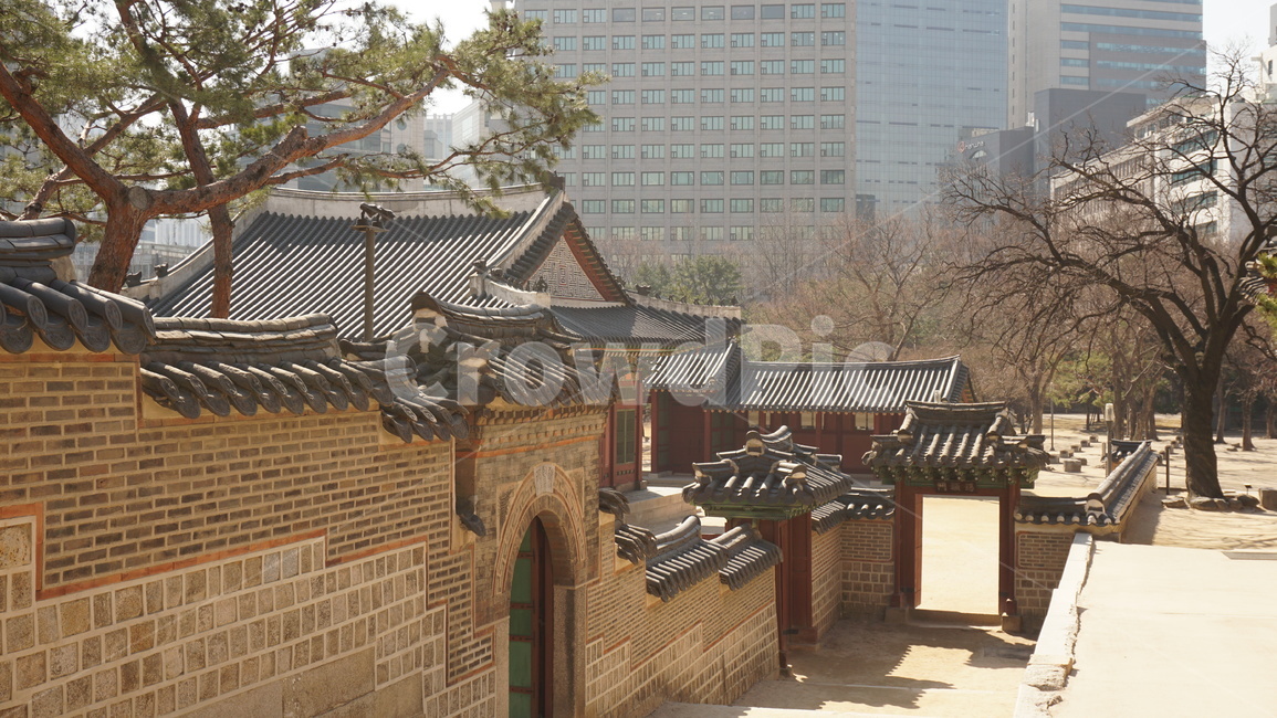 창덕궁,돌담,아치형,전통전축,궁궐,조선시대,덕홍전