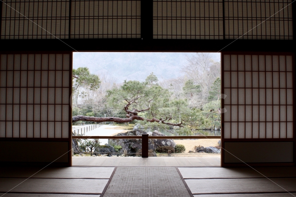 풍경,landscape,자연,나무,nature,trees,문,door,하늘,sky,바위,창문,windows,바닥,floor,자연,풍경,nature,landscape,해외,외국,세계,foreign,oversea,world,인테리어,실내디자인,interior design,flooring