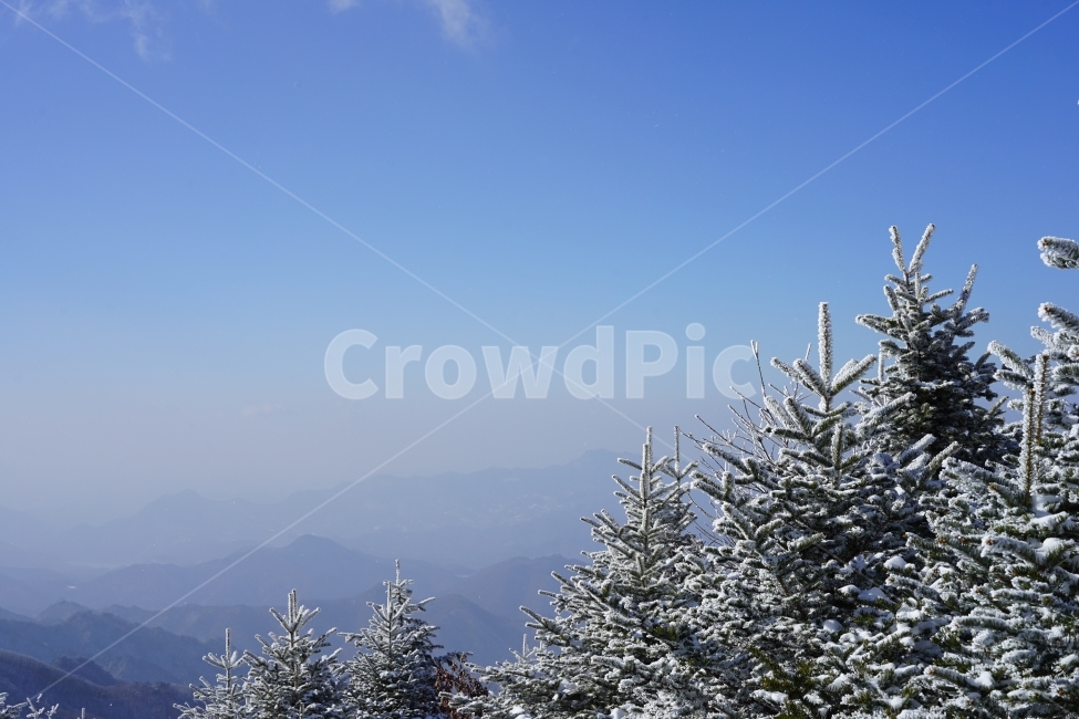등산,겨울산,상고대,눈꽃,산,풍경,겨울,겨울,계절,winter,season,자연,풍경,nature,landscape,tree,나무,plant,식물,fir,전나무