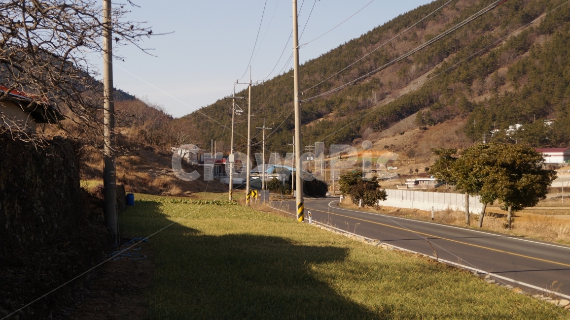 도로,길,여행,보도,전봇대,낯선곳,시골,마을,풍경,landscape,country,rural,town