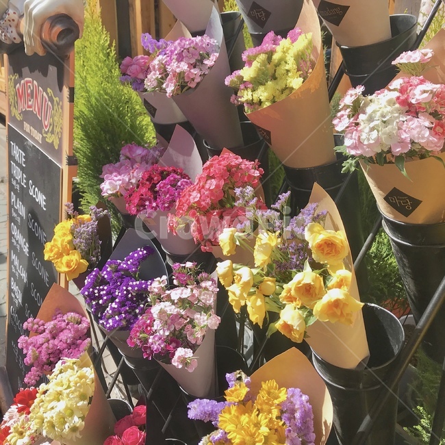 flower,꽃,꽃집,꽃다발,꽃부케,plant,식물