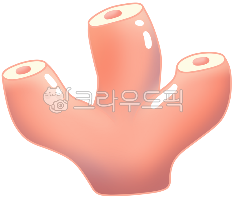 산호,산호초,바다산호,바닷속산호,해양생물,산호일러스트,산호그림,산호배경,바다일러스트,바다배경,해양디자인,해양요소,바다생물,바다장식,바다꾸밈요소,자연일러스트,자연배경,해양환경,해양생태계,자연요소,바닷속풍경,산호초보호,환경일러스트,산호색감,산호패턴,바다속세계,해양보호,바다장식요소,감성바다,감성해양,해양배경디자인,해양캐릭터배경,친환경이미지,환경콘텐츠,연출배경,수중배경,해양테마,해양배경요소