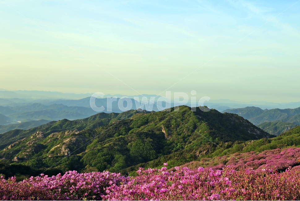 철쭉,황매산,여유,고요,구름,봄,계절,spring,season,자연,풍경,nature,landscape,한국자연풍경,한국자연경관,korea nature landscape,outdoors,옥외