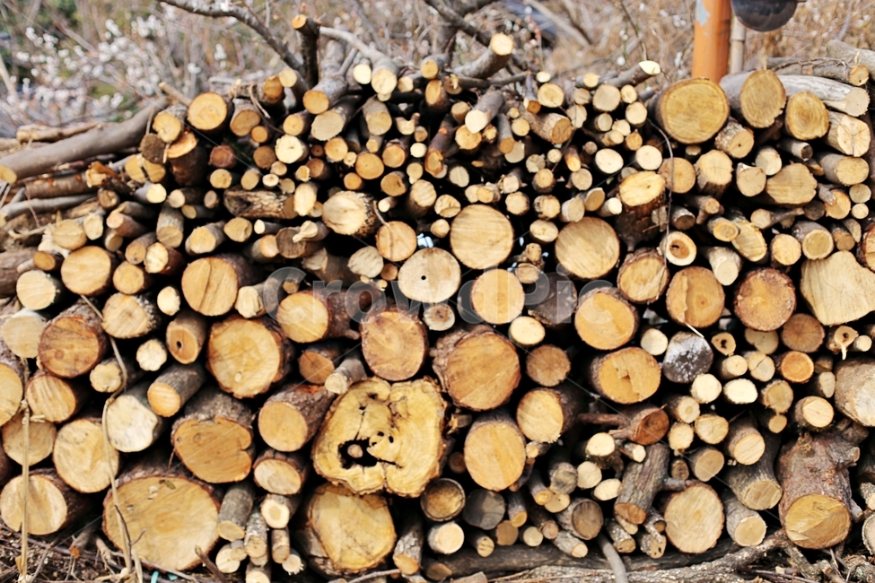 최참판댁,목재,땔감,나무,wood,woods,나무,trees,wood