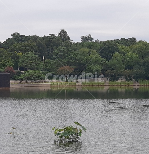 물,옥외,호수가,자연,nature,자연,풍경,nature,landscape,water,outdoors