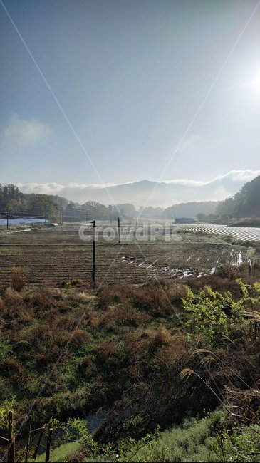 아침,시골,자연,nature,안개,햇살,괴산,시골,마을,풍경,landscape,country,rural,town