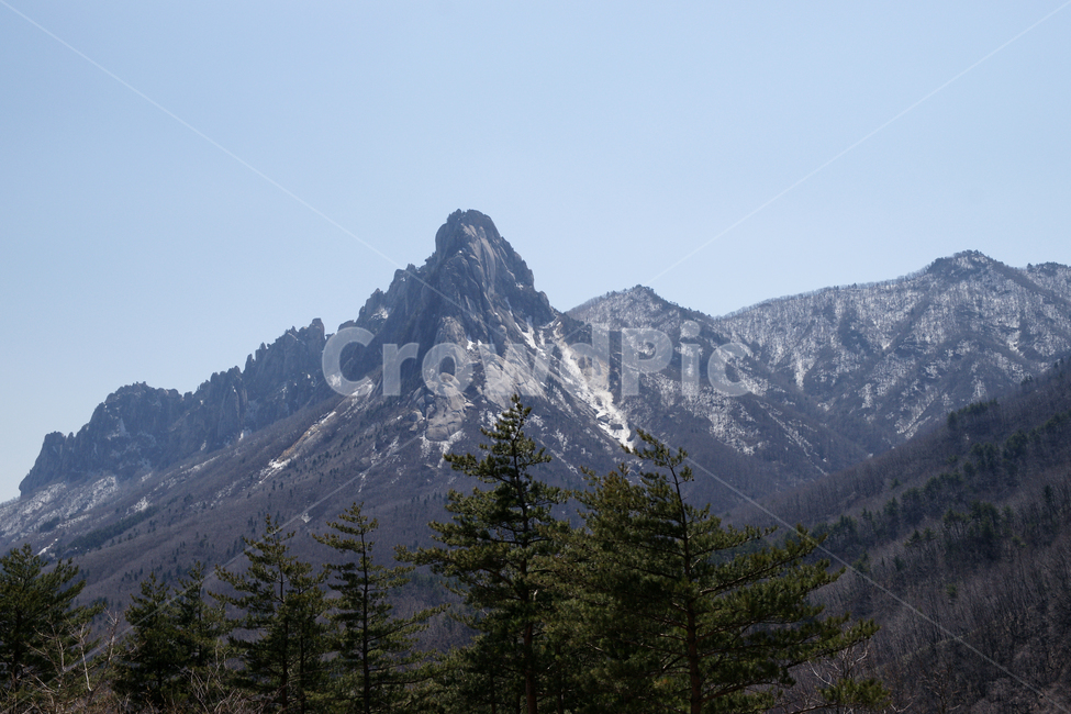 겨울,산,설악산,태백산맥,눈꽃,눈,침엽수,숲,강원도,하늘,산맥,풍경,경치,tree,나무,전나무,plant,식물,겨울,계절,winter,season,자연,풍경,nature,landscape