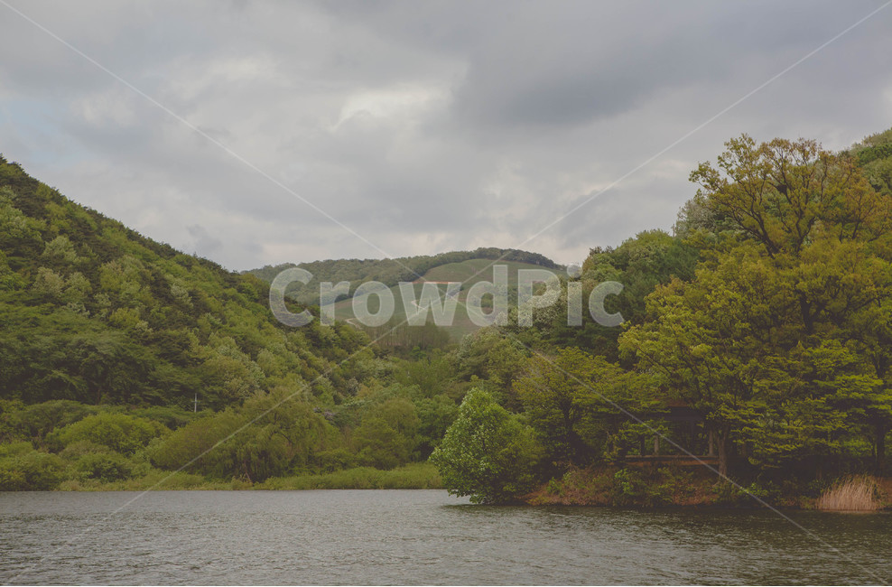 저수지,숲속,숲,물,산속,산,나무,tree,자연,풍경,nature,landscape,outdoors,옥외