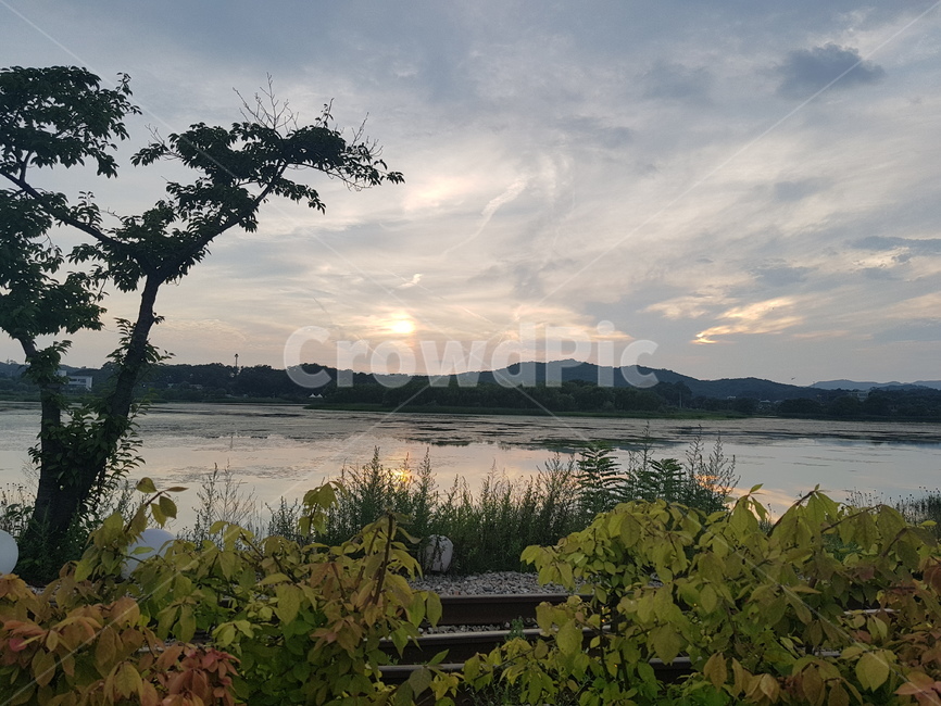 nature,자연,vegetation,초목,plant,식물,옥외