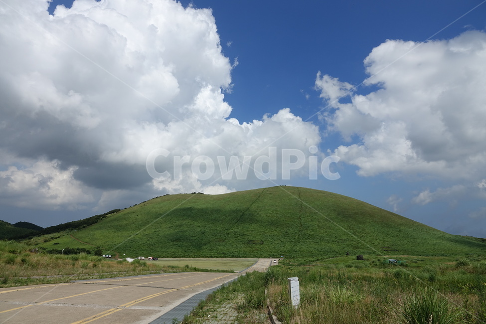 제주도,오름,언덕,여름,구름,하늘,녹색
