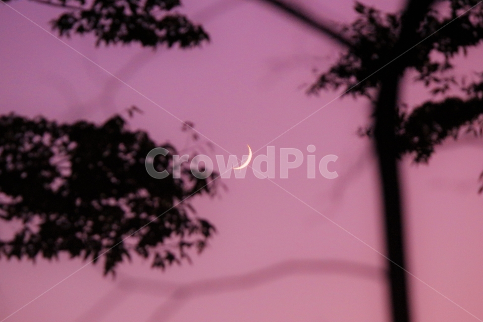 달,노을,초승달,자연,밤,저녁,자연,풍경,nature,landscape,outdoors,옥외