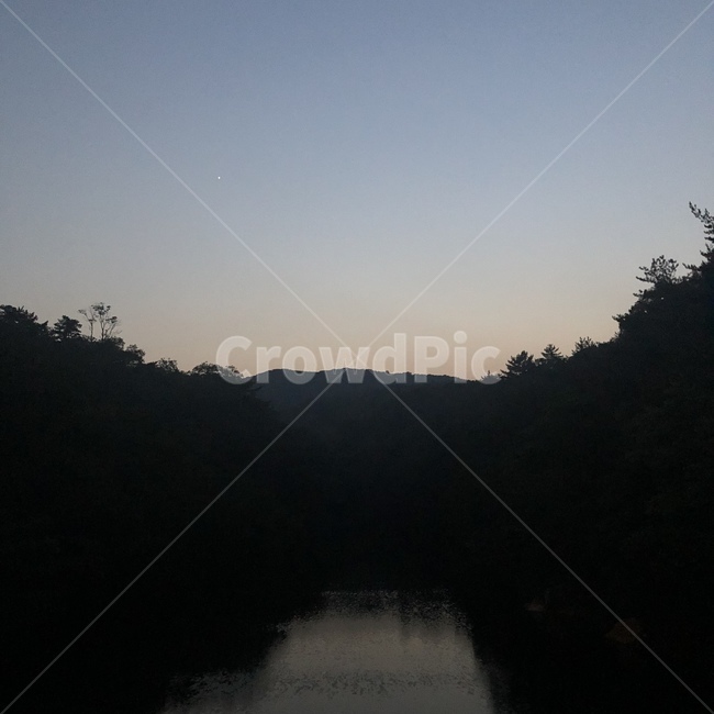 산,숲,새벽,아침,안개,강,forest,자연,풍경,nature,landscape,outdoors,옥외,water,물