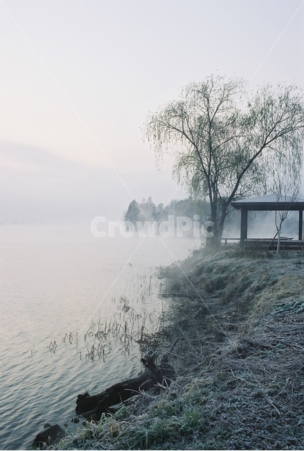 강,풍경,가을,물안개,아침,river,landscape,자연,풍경,nature,landscape,한국자연풍경,한국자연경관,korea nature landscape,weather,날씨,outdoors,옥외