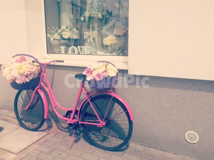 자전거,bycicle,길가,street,road