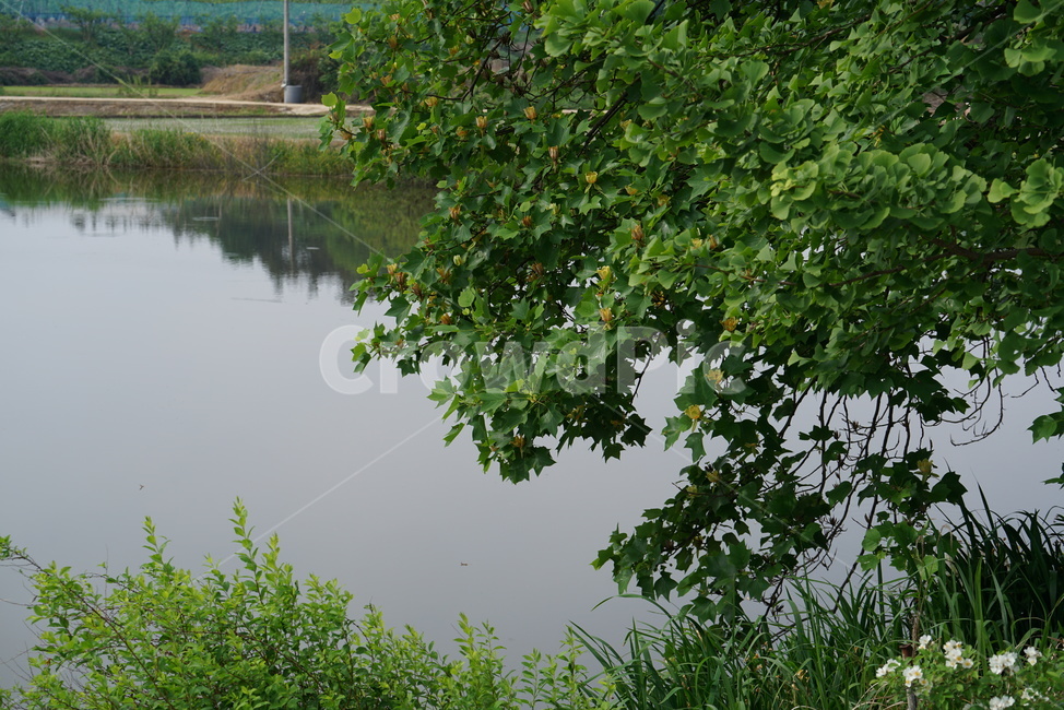시골풍경,시골,저수지,방죽,담수,농업용수