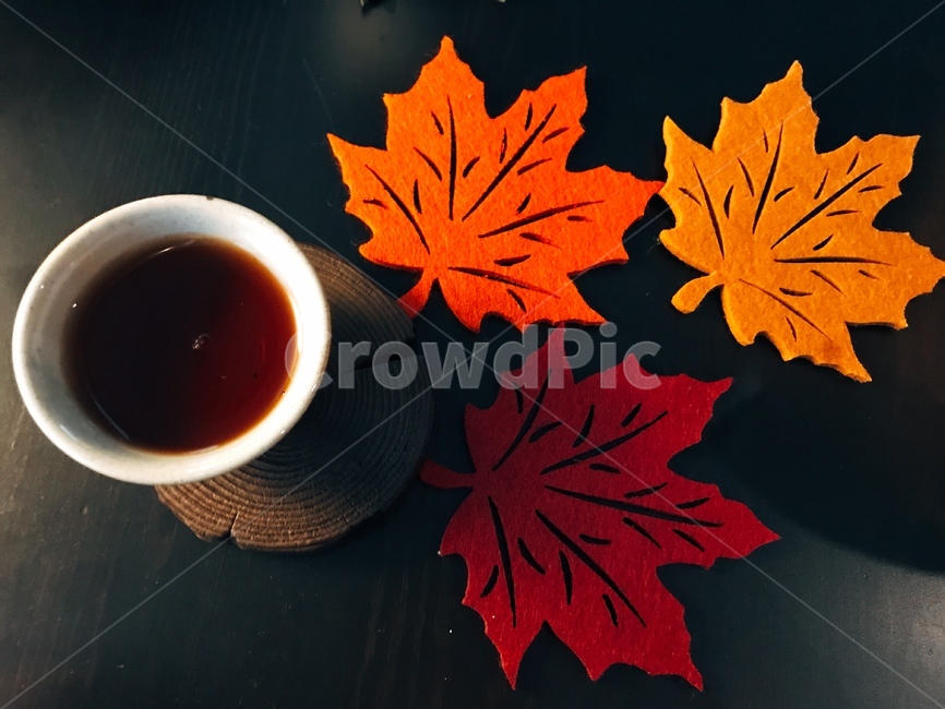 보이차,가을,낙엽,나무찻잔,가을차,단풍잎,puertea,가을,계절,fall,autumn,season,커피,카페,coffee,cafe,plant,식물,leaf,잎,tree,나무