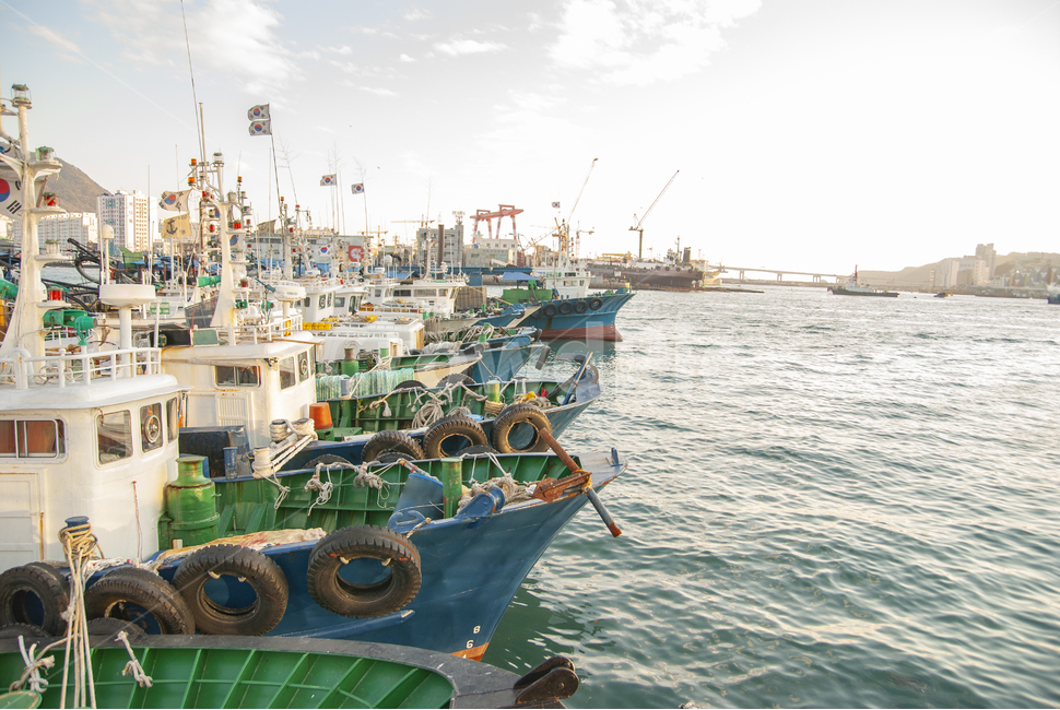 부산항,부산어선,정박어선,어선,항구,부산항구,배,고기배,고기잡이,어업,fishery,fishing industry