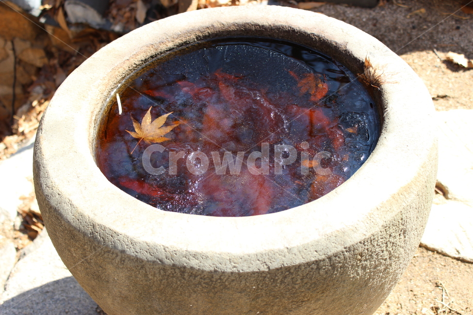 겨울,절구통,낙엽,얼음,가을,전통,가을,계절,fall,autumn,season