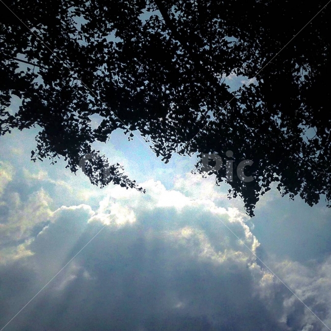 하늘,구름,빛,풍경,자연,나무,나뭇잎,태양,뭉게구름,색감,감성,자연,풍경,nature,landscape,light,flare,플레어,sunlight,햇빛