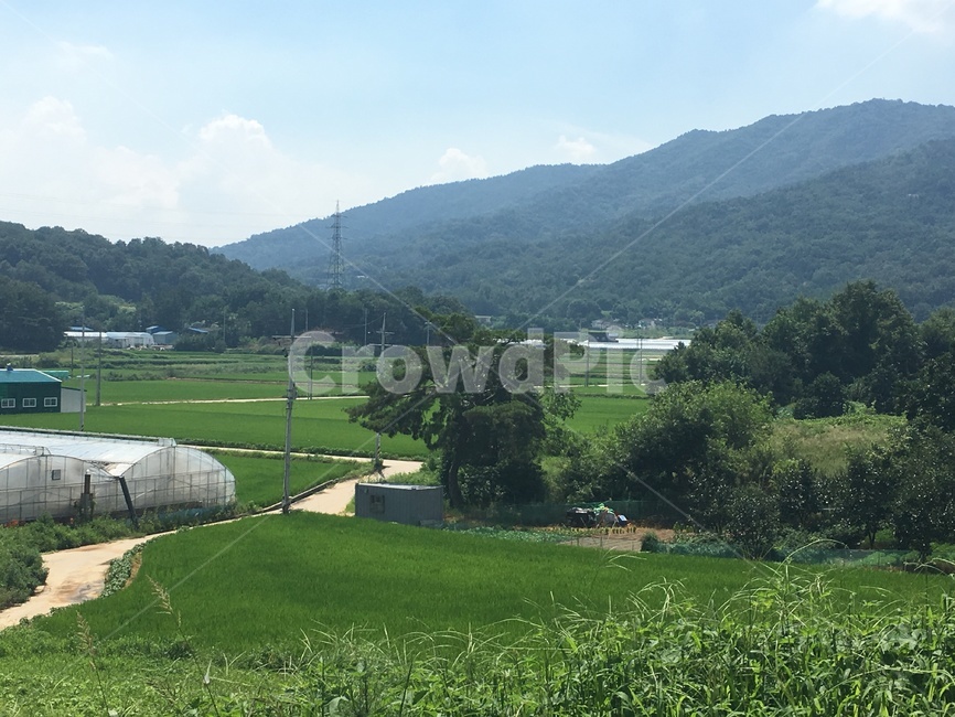field,nature,들,자연,옥외,시골,마을,풍경,landscape,country,rural,town