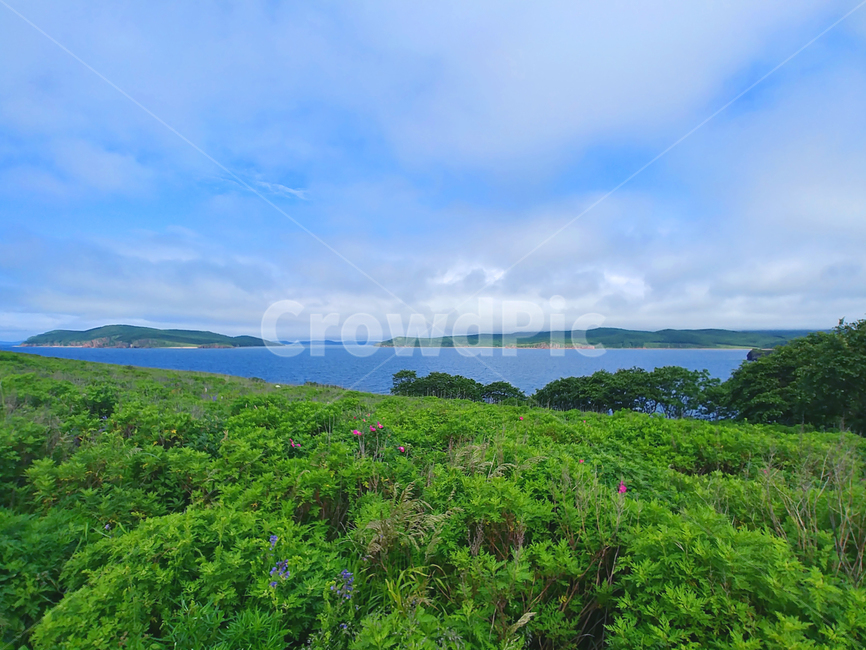 러시아풍경,루스키섬,블라디보스톡,블라디보스토크,자연,nature,옥외,outdoors,섬,바다,sea,러시아섬