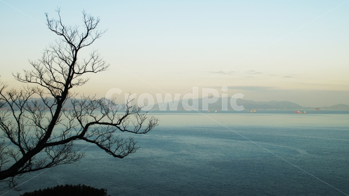 바다,나뭇가지,섬,하늘,여수,자연,풍경,nature,landscape,식물,plants,나무,trees,wood,outdoors,옥외,land,땅,water,물,ocean,대양,sea,shoreline,해안선
