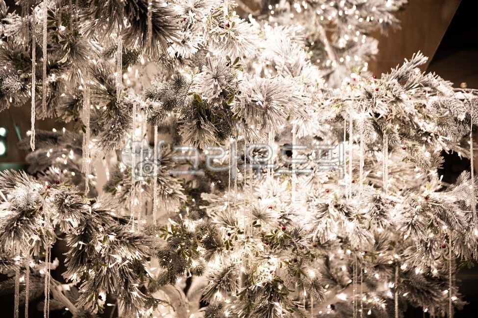 흰눈,흰색,하얀색,흰눈꽃,하얀크리스마스,트리,성탄절,크리스마스트리,whitesnow,white,whitesnowflake,whitechristmas,tree,christmas,christmastree,겨울,계절,winter,season,메리크리스마스,성탄절,merry christmas