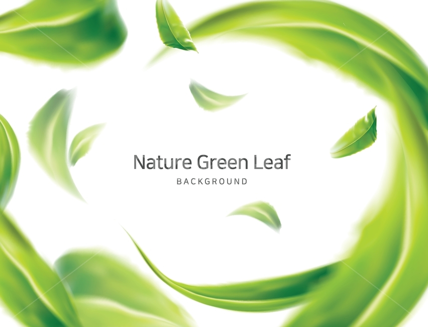 Cleanliness,green,natural,nature,air purification,green zone,Clean,air,leaf,eco,purification,plant,Sunny