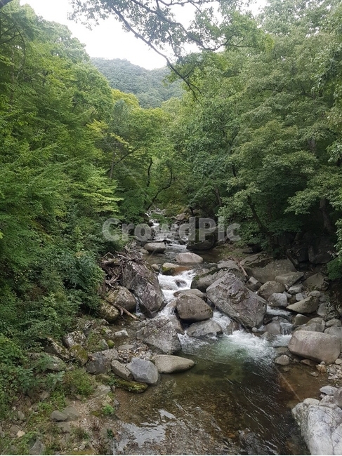 자연,nature,water,흐름,강,자연,풍경,nature,landscape,물,outdoors,옥외,stream,creek,작은 만