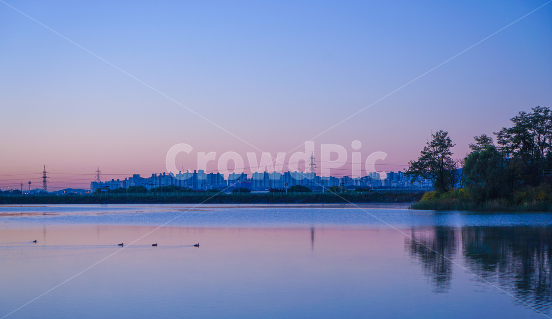 호수,저수지,새벽,여명,풍경,도시,풍경,city,landscape,한국도시풍경,한국도시경관,korea cityscape,water,물,nature,자연,outdoors,옥외