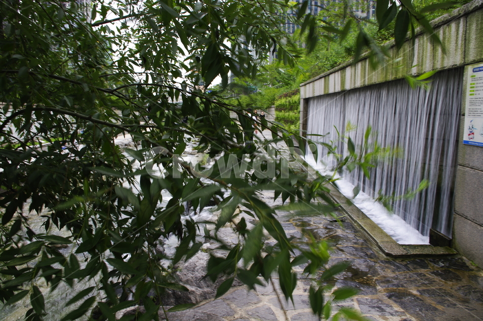 청계천,인공폭포,초록,나무,식물,plant,자연,nature,자연,풍경,nature,landscape