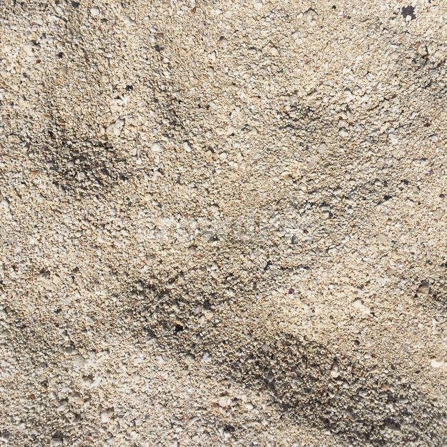 해변,모래,배경,땅,제주도