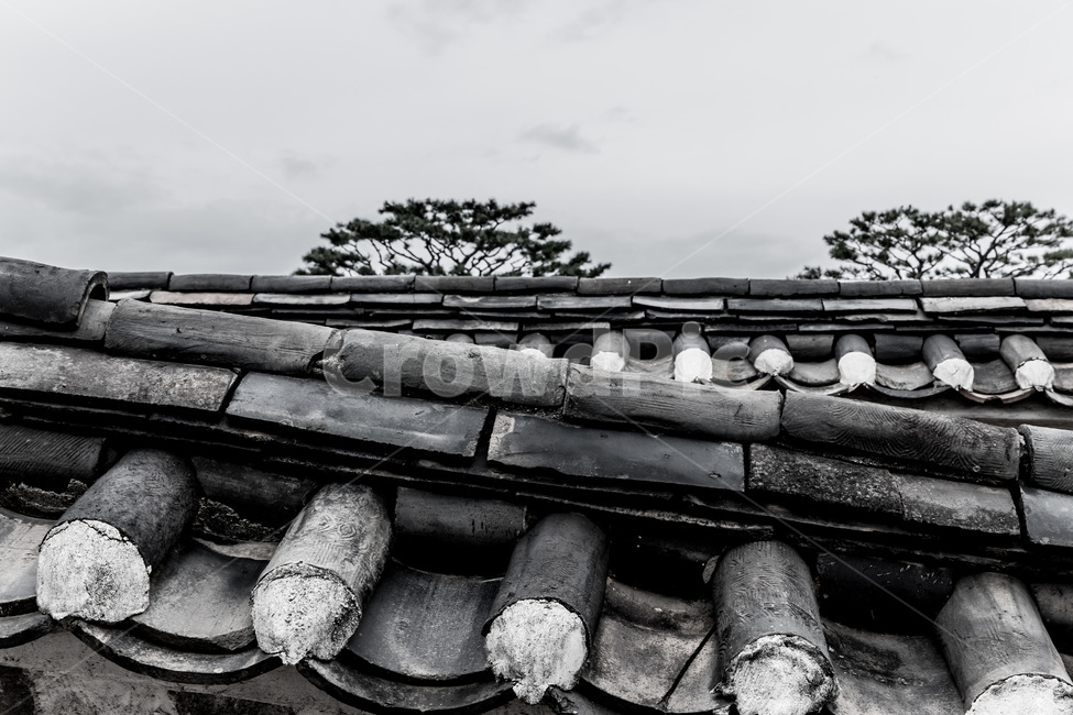 기와,돌담,전통문화,담벼락,기와장,한국전통,한국문화,korean traditional,korean culture,흑백,모노톤,monochrome,black and white