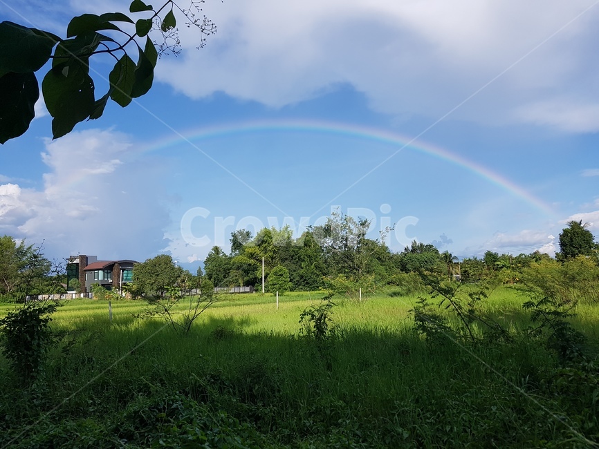 plant,식물,잔디,nature,자연,무지개,rainbow,초록색,파란색,집,맑은날,풍경,하늘